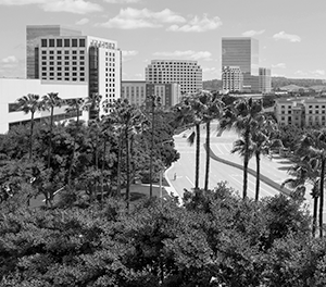 Orange County Market Trend Report